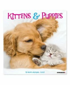 New ✨ Willow Creek Press 'Kittens & Puppies' 2023 Wall Calendar For Home & Garden 🛒
