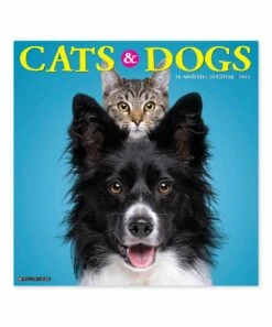 Wholesale 🎁 Willow Creek Press 'Cats & 🐶 Dogs' 2023 Wall Calendar For Home & Garden 💯