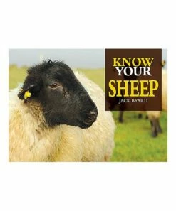 Best Pirce ❤️ Fox Chapel Publishing Know Your Sheep Paperback For Books & Media 🧨